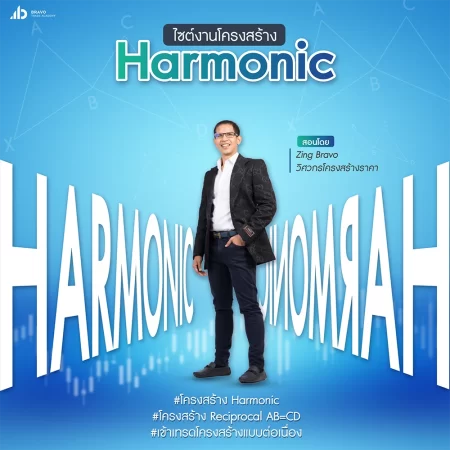 คอร์ส Harmonic Patterns
