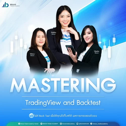 Mastering Trading View and Backtest